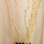 “l'alcova Delle Sirene” *
