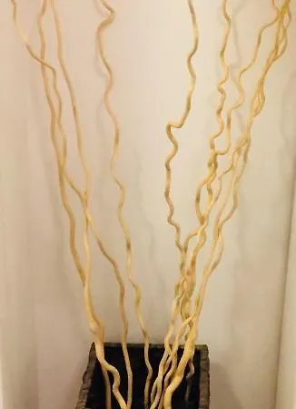 “l’alcova Delle Sirene” *