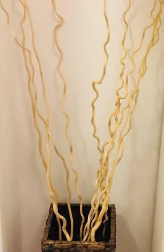 “l'alcova Delle Sirene” *